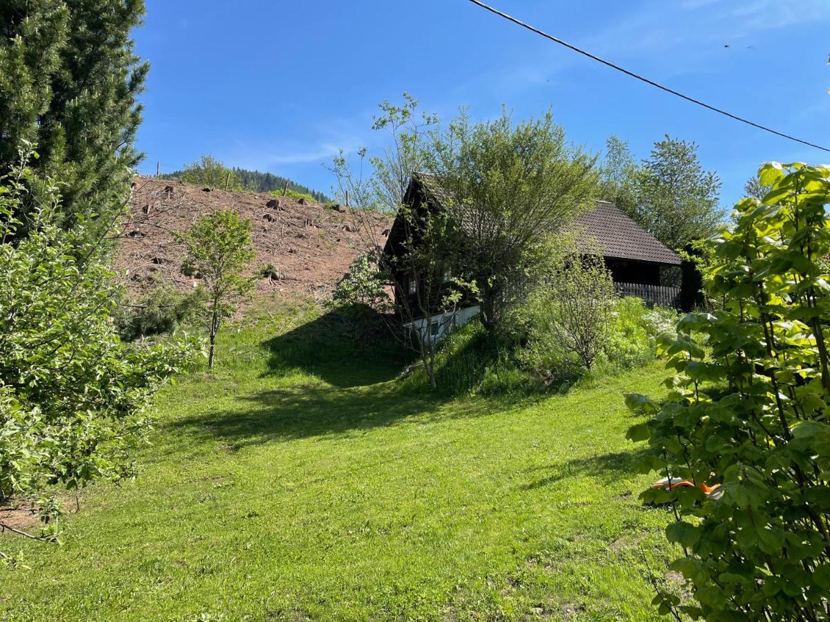 Ferienhuette Bosic Villa Baierdorf Luaran gambar